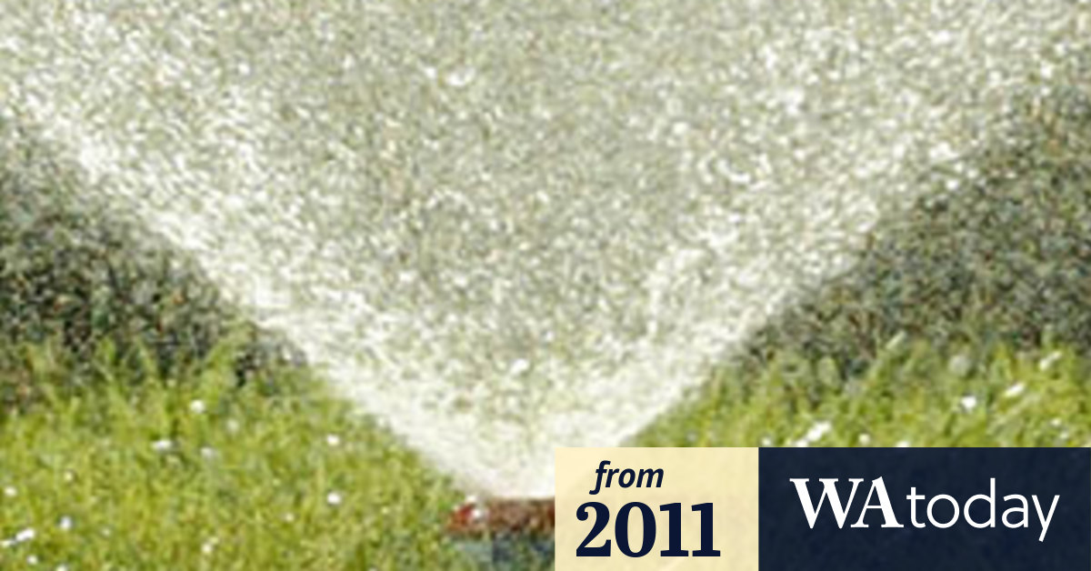 Don't turn on sprinklers yet, despite ban being lifted Water Corporation